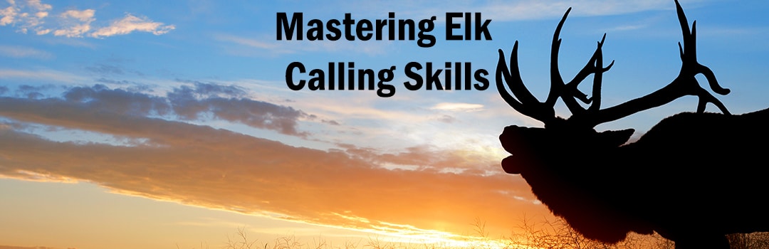 Mastering Elk Calling Skills